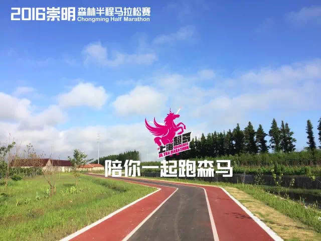 2016崇明森林马拉松报名啦